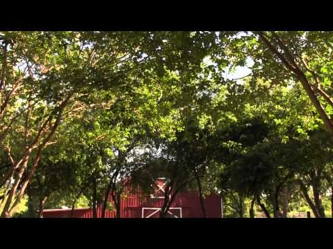 Carpe Diem - Robert Frost