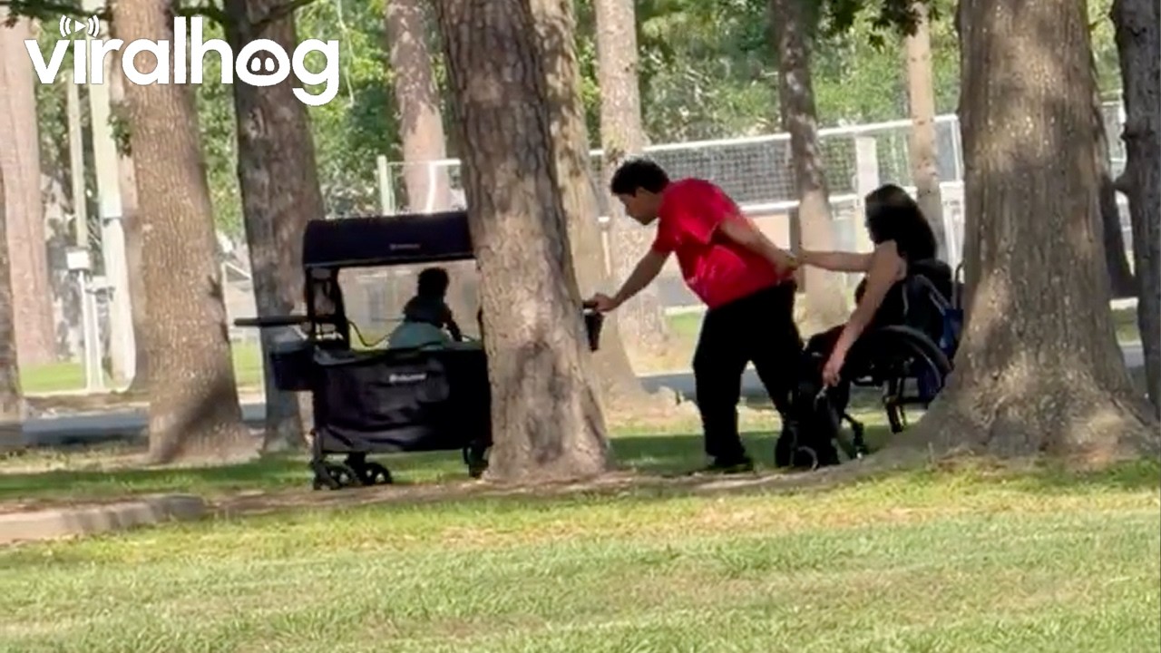 Devoted Father and Husband Helps His Family Take a Walk in the Park || ViralHog