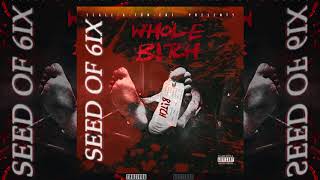 Seed of 6ix &quot;Whole B*tch&quot; Prod by DJ Paul &amp; Locodunit [Audio]