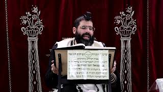 זבחים דף ס"ו ע"ב ¤ הרב נתנאל אברז'ל ¤ בית הכנסת "בית מרדכי" (מוסדות תורת דוד) - התמונה מוצגת ישירות מתוך אתר האינטרנט יוטיוב. זכויות היוצרים בתמונה שייכות ליוצרה. קישור קרדיט למקור התוכן נמצא בתוך דף הסרטון