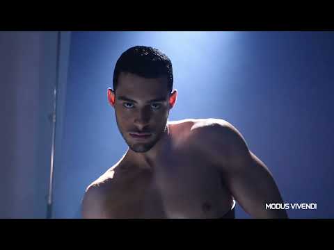 MODUS VIVENDI -  Transparency Temptation