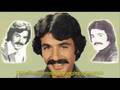 FERDİ TAYFUR-ELVEDA MUTLULUKLAR 
