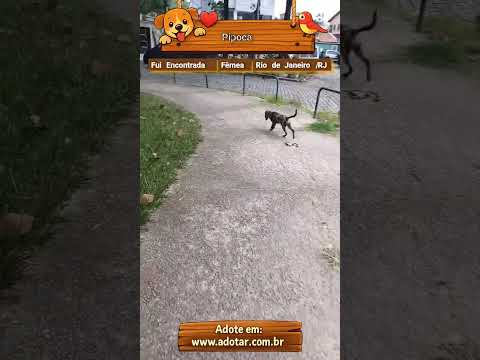Vídeo de Pipoca