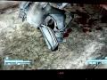 Fallout 3 - Brotherhood of Missing Limbs