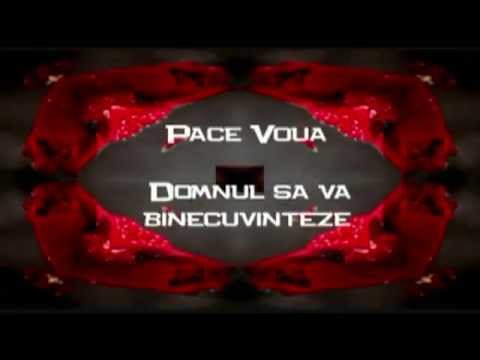 ELIM VIENA-FR. COTAN DIN LOC.HALMEU JUD. SATU MARE-PREDICA