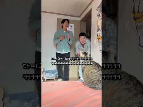 신곡 홍보해주는 고양이