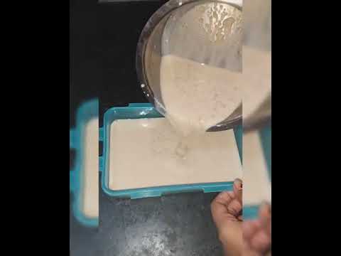 Home Made Chocolate Ice Cream/ Easiest Recipe/Paromita's World