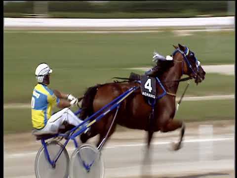 Trotto 09/09/2018 - 3ª corsa