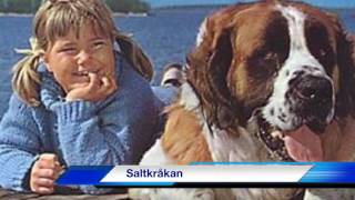 Bästa Astrid Lindgren