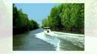 Video hợp âm Dòng Sông Trịnh Nam Sơn