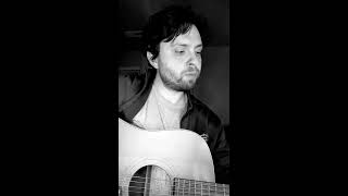 The Magnetic Fields - Never Again