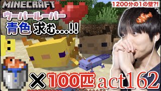 【マインクラフト】1200分の1の確率で生まれる伝説級の青色のウーパーを求めて、大繁殖!!【セイハのセハクラ実況act162】