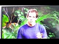 DVD Opening To Bee Movie UK DVD Request Video For Austin Miller