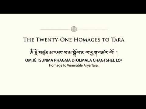 The Twenty-one Homage To TARA //Dolma21 ||His Eminence The 8th Choskyong Palga Rinpoche recitation📿