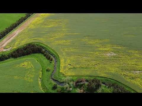 Urien of Rheged Burial Mound