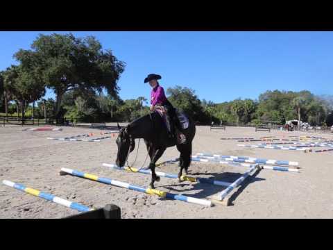 Ode To Zippo and Tatum Richey RIDE FOR JAY FAY
