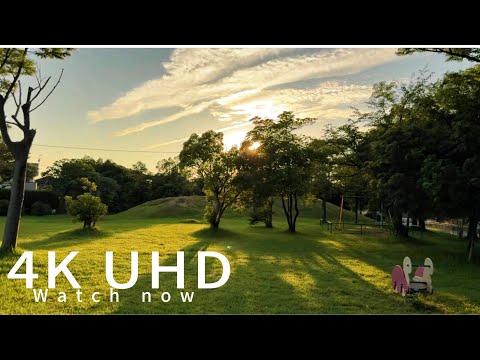 🌸 Japan Nature Walk in 4K HDR | Relaxing Cinematic Scenery 🌄.4K HDR