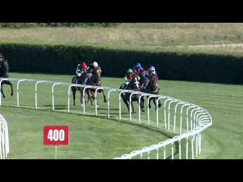 2019.09.15. 03. futam - KEZDŐ LOVAK VERSENYE (IV.kat.)