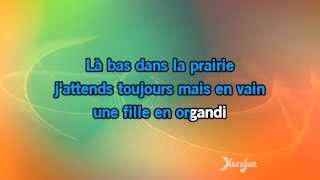 Karaoké Dès que le printemps revient - Hugues Aufray *