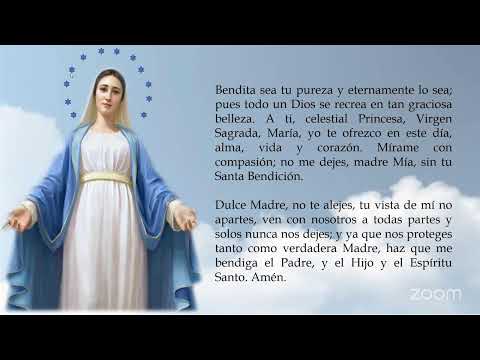 SANTO ROSARIO REYNA DE LA PAZ MISTERIOS GOZOSOS