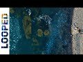 Julianna Barwick Wishing Well 1 Hour