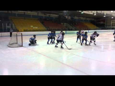 Chaus Richard-71, 2014.02.01  hokkey