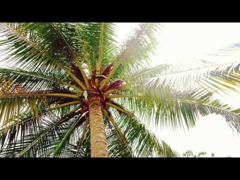 Tarrus Riley  - There Is A Way