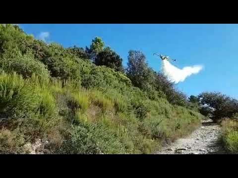 Incendio Monte Serra, Canadair in azione