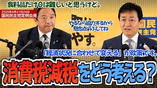 消費税減税？食料品ゼロ？国民民主党はどう考える？20260424