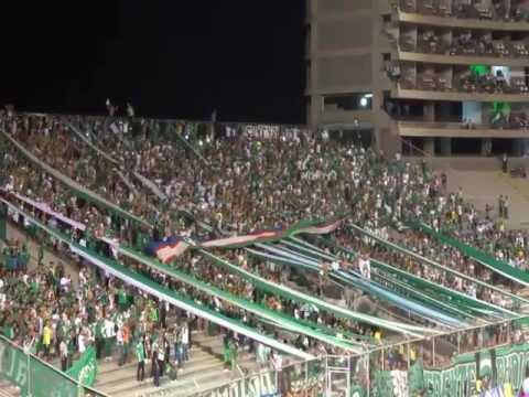 "Esta Es La Hinchada Del Cali La Que Alienta Al Glorioso ðŸŽ¶ðŸŽº" Barra: Frente Radical Verdiblanco • Club: Deportivo Cali