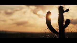 Puscifer "Existential Reckoning: Live at Arcosanti" Trailer