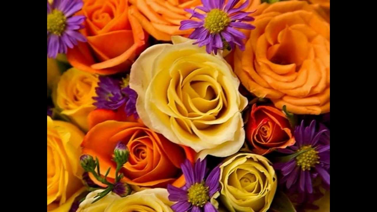 Pyar Ho Gaya Pyar Ho Gaya Lyrics  | Janam Kundli | Vinod Khanna, Jeetendra | Alka Yagnik, Udit Narayan | Anand Shrivastav, Milind Shrivastav