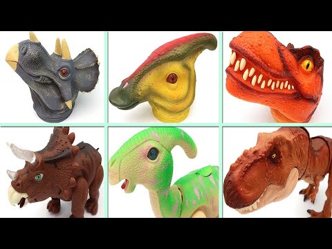 4 Dinosaur Head Box - Triceratops, Tyrannosaurus Rex, Parasaurolophus 공룡 머리 박스