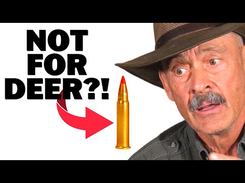 Kleinkalibermunition für die Hirschjagd – Wann ist zu klein?