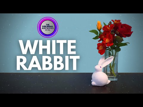 #Shorts - White Rabbit