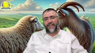 הרב ציון מושייב | פרשת בא | מוסר השכל הנלמד מקורבן פסח, תשפה. (הרב ציון מושייב) - התמונה מוצגת ישירות מתוך אתר האינטרנט יוטיוב. זכויות היוצרים בתמונה שייכות ליוצרה. קישור קרדיט למקור התוכן נמצא בתוך דף הסרטון הרב ציון מושייב | פרשת בא | מוסר השכל הנלמד מקורבן פסח, תשפה. (הרב ציון מושייב) - התמונה מוצגת ישירות מתוך אתר האינטרנט יוטיוב. זכויות היוצרים בתמונה שייכות ליוצרה. קישור קרדיט למקור התוכן נמצא בתוך דף הסרטון