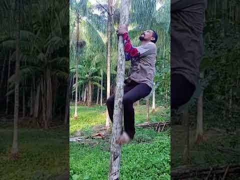 Resenha pra descontrair o dia rsrs #codajas #amazonas #acaì