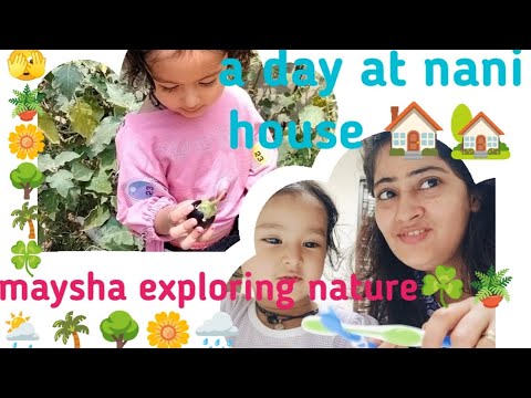 A day at nani house 🏠 Explore nature ☘️ with Maysha#viralvideo #trending#utubevideo#ytvideo#yt blog