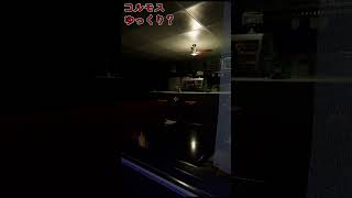 【Phasmophobia】コルモス特定むっずい①