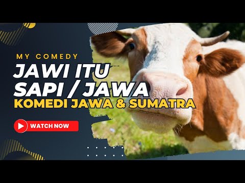 komedi-lucu-jawi-jawasapi