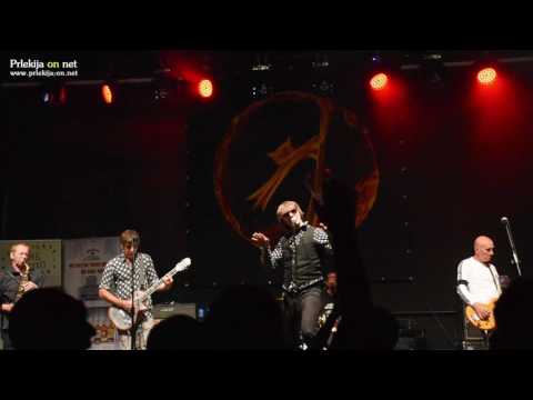 Psihomodo Pop v Ljutomeru