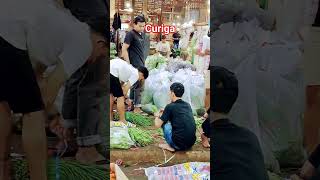 Download lagu curiga #shortsvideo mp3 Download lagu curiga #shortsvideo mp3