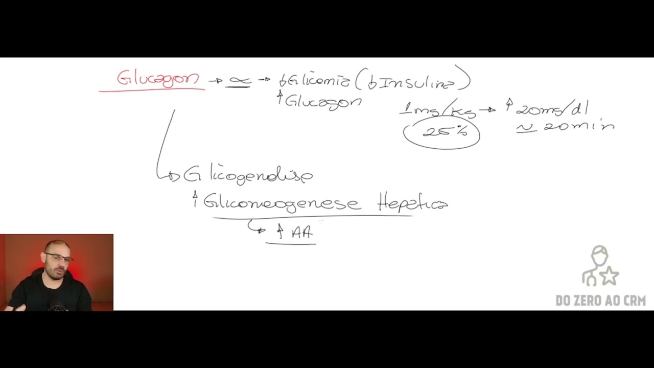 INSULINA E GLUCAGON - PARTE 4 (CAPITULO 79 - GUYTON)
