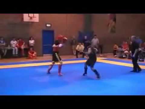 San Shou Ireland  Eastcoast open 2009 Highlights  WUDANG Fighters
