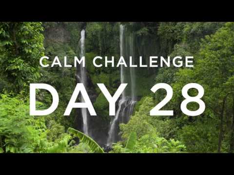 Calm Challenge | Day 28