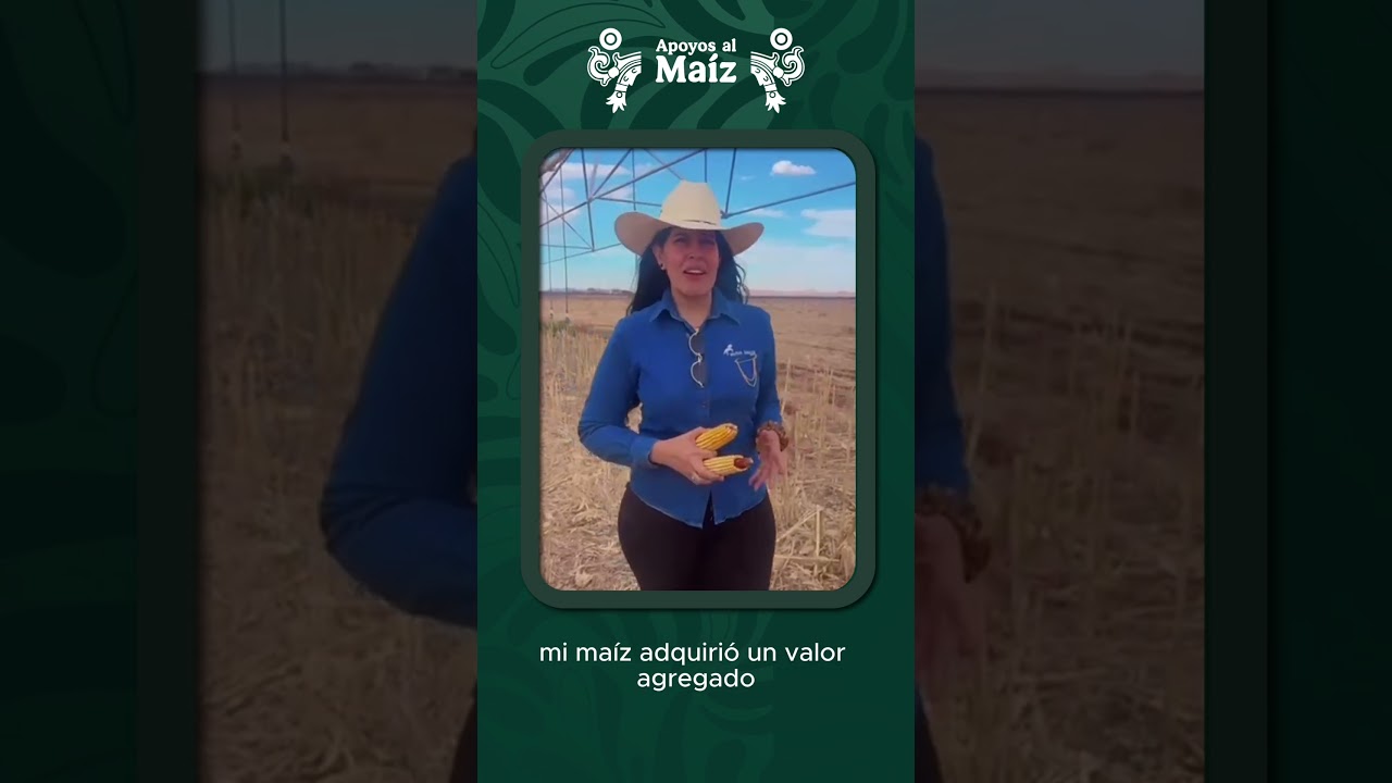 Beneficiaria incentivo maíz amarillo de Chihuahua