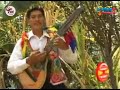 DAVID CONDO Y CAROLINA DEL SUR                  TEMA : TU NO SABES AMAR  #carnaval 