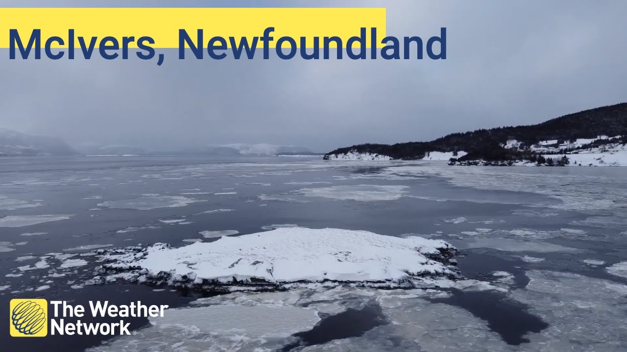 The Shores of Mcivers Newfoundland and Labrador