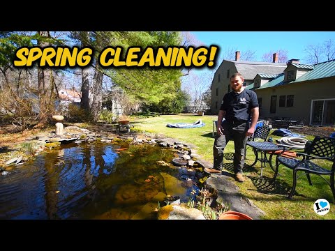 DAY IN THE LIFE OF POND GUYS CLEANING BACKYARD PONDS!