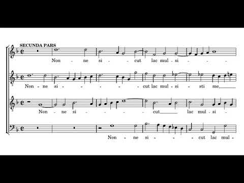 Lassus: Manus tuae Domine fecerunt me - Weser-Renaissance